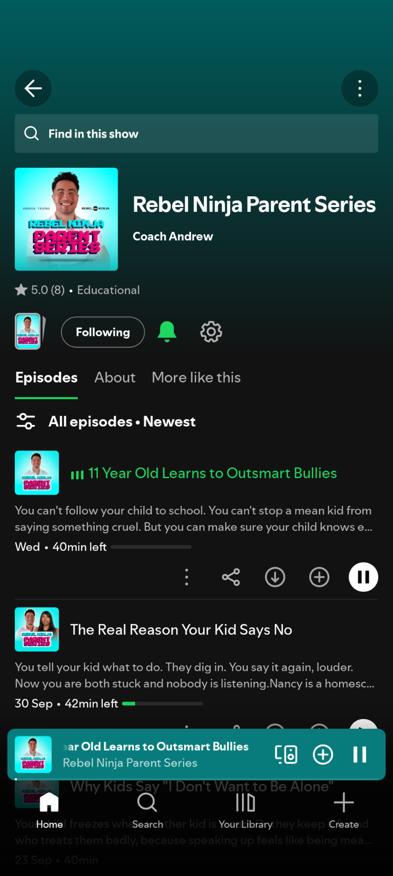 Rebel Ninja Parent Series podcast on Spotify